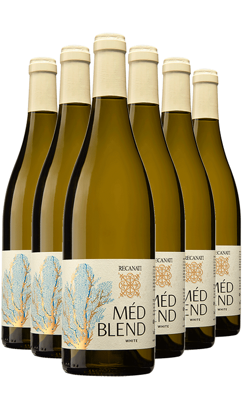 שישיית רקנאטי מד בלנד לבן